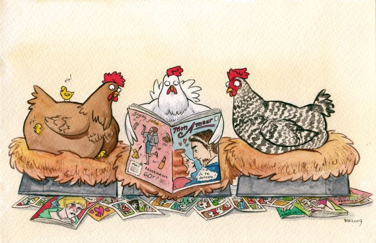 Playful illustration of hens relaxing on their nest boxes